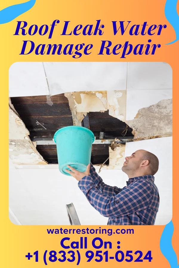 Roof Leak Water Damage Repair in Keene, TX