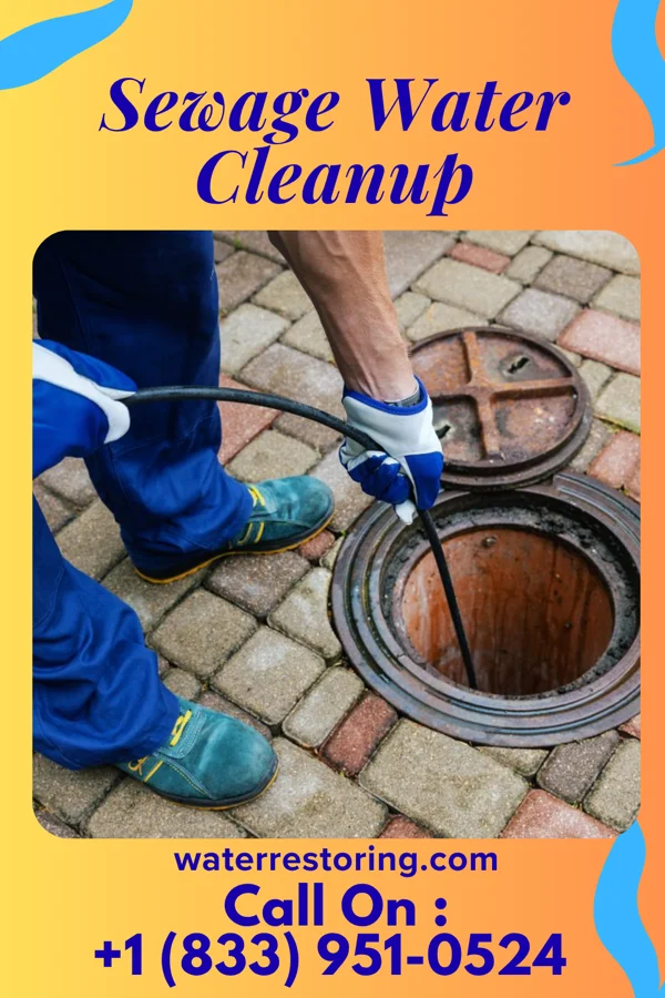 Sewage Water Cleanup in Keene, TX